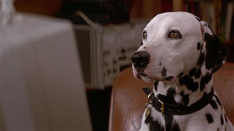 101 dalmatians clips|101 dalmatians full movie 1996.